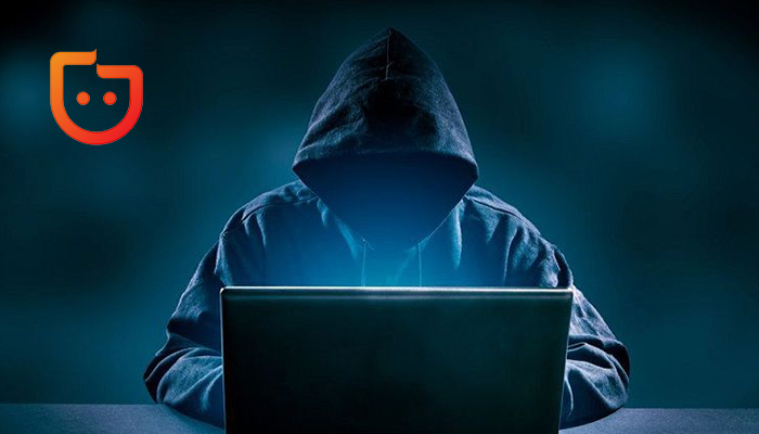 قراصنة إيرانيين وخسائر بملايين الدولارات