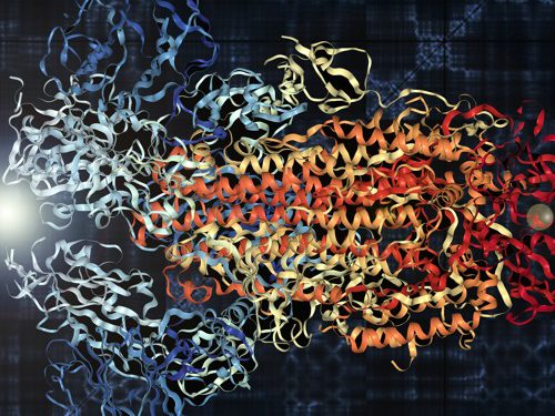 استمع إلى فيروس كورونا … عبر “صوتنة” البيانات