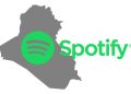 سبوتفاي
